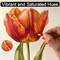 Colored Pencils for Adult Coloring Books, 72 Colors Drawing Pencils with Oil-Based Cores, Professional Art Supplies for Artists, Coloring Pencils for Adults, Color Pencils Set for Beginners and Teens.